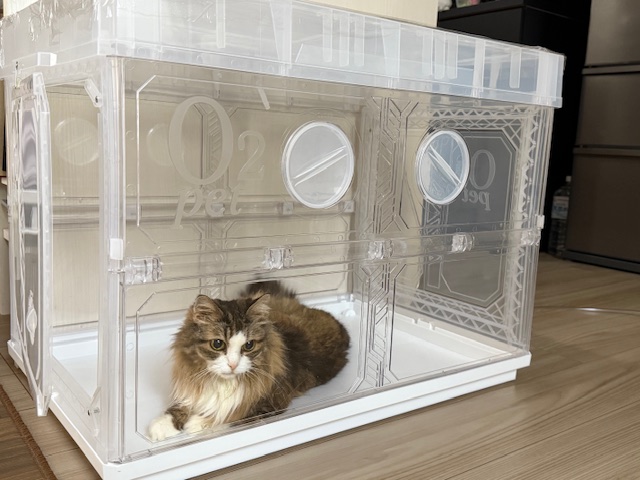 猫ちゃんの利用事例1