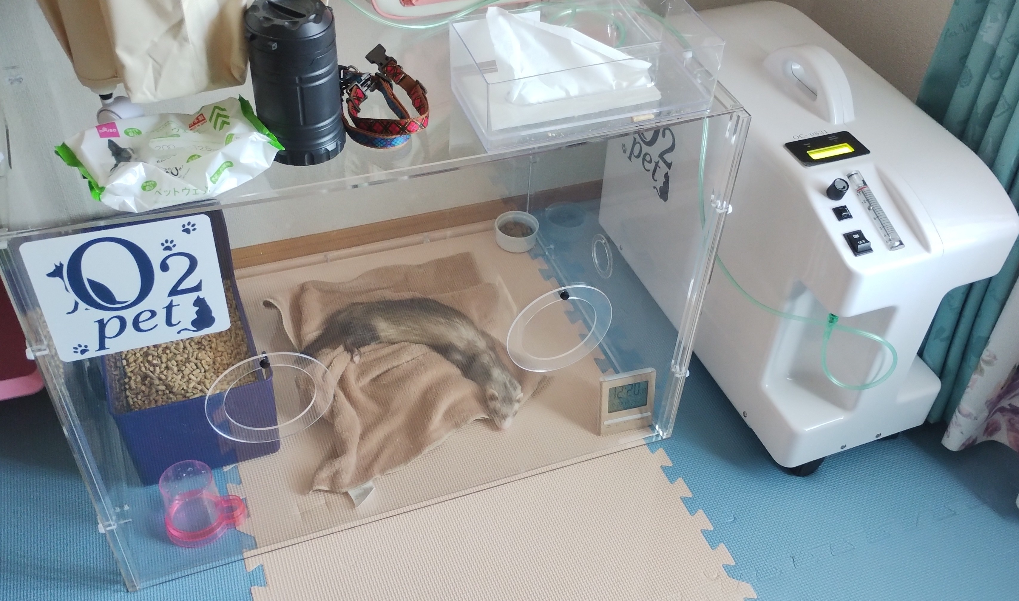 その他の利用事例2